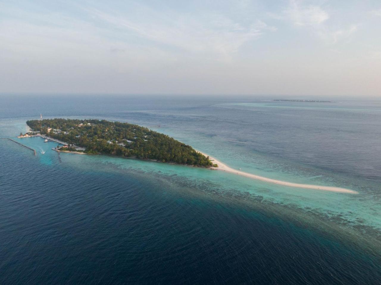 Turtle Maldives - Your Gateway To The Beach & Marine Adventures Await! Omadhoo Kültér fotó