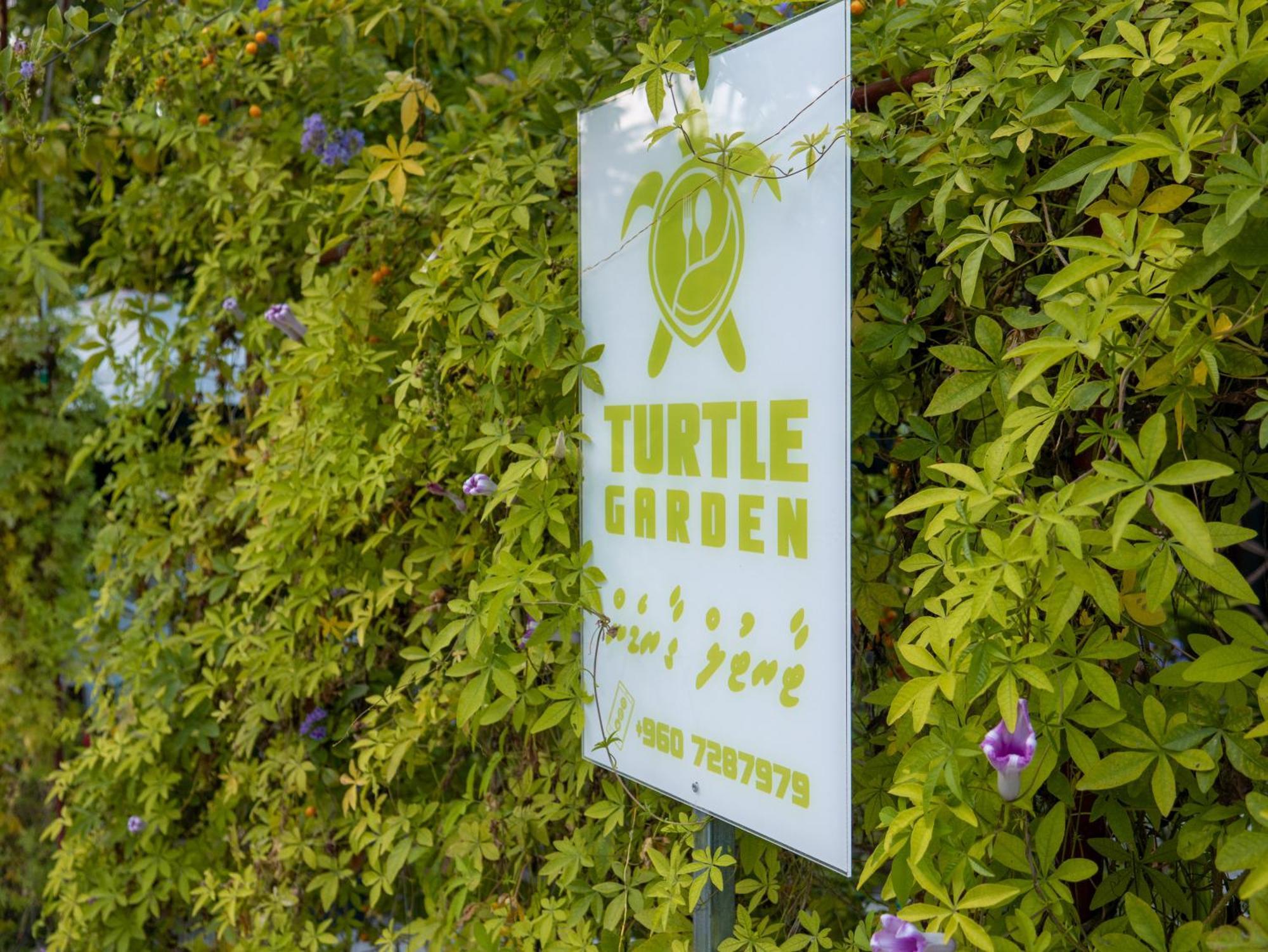 Turtle Maldives - Your Gateway To The Beach & Marine Adventures Await! Omadhoo Kültér fotó